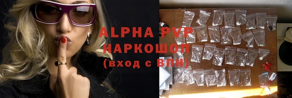 прущие грибы Балахна