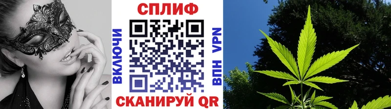 Шишки марихуана OG Kush  купить наркотики цена  Горно-Алтайск 